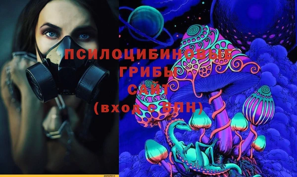Альфа ПВП Бронницы