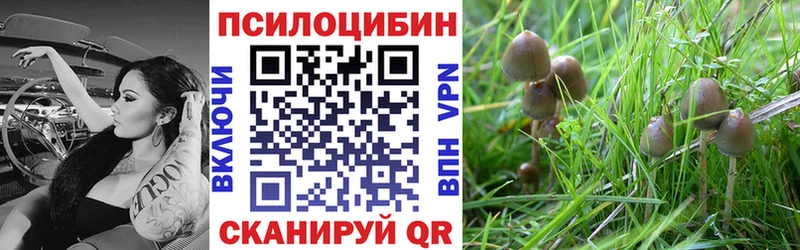 Псилоцибиновые грибы мицелий Хилок