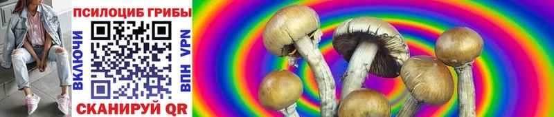 Галлюциногенные грибы Magic Shrooms  Купить где  Хилок 